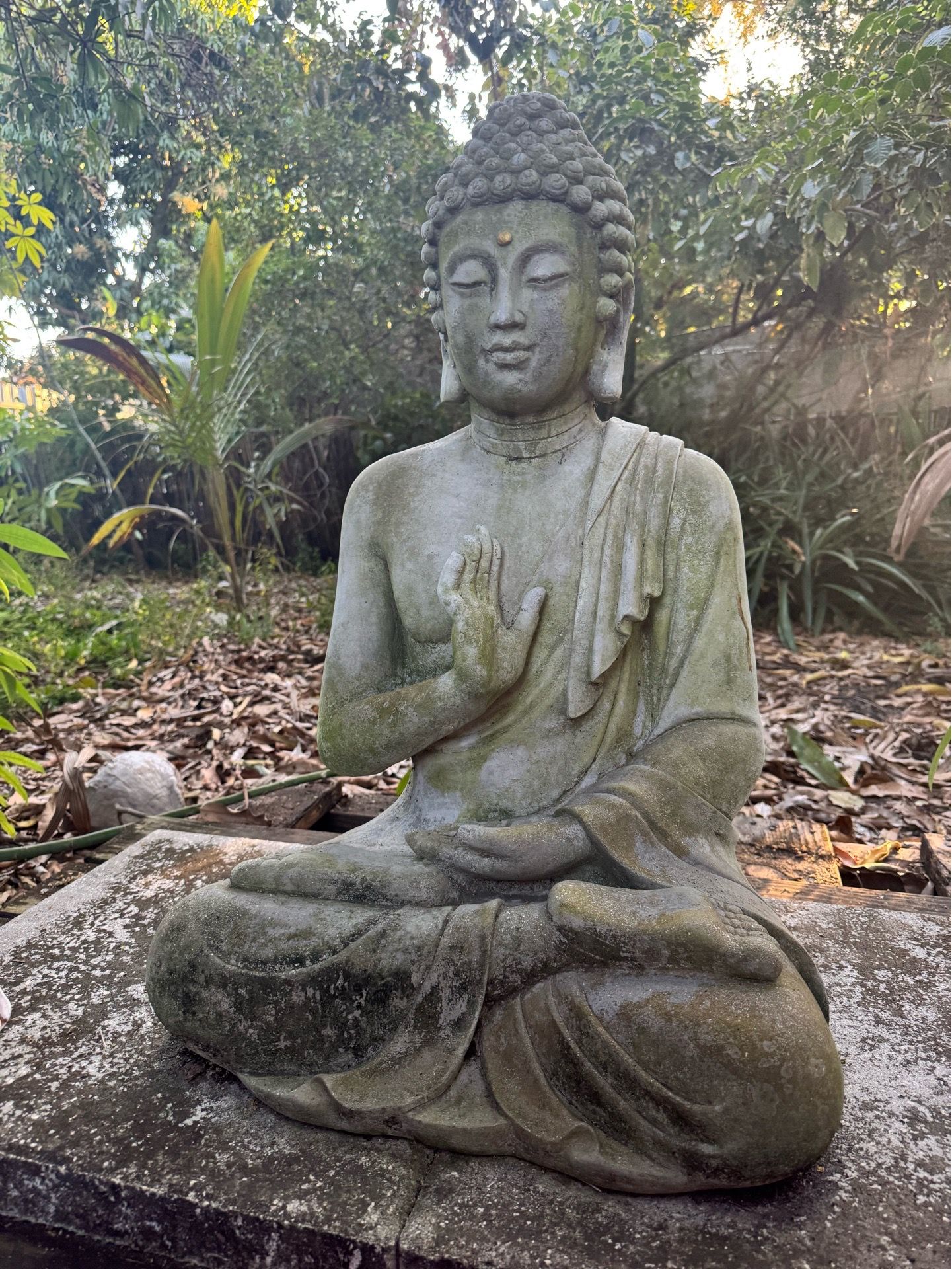 Buddha Statue