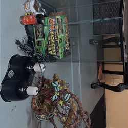 Lizard Big House Enclosure