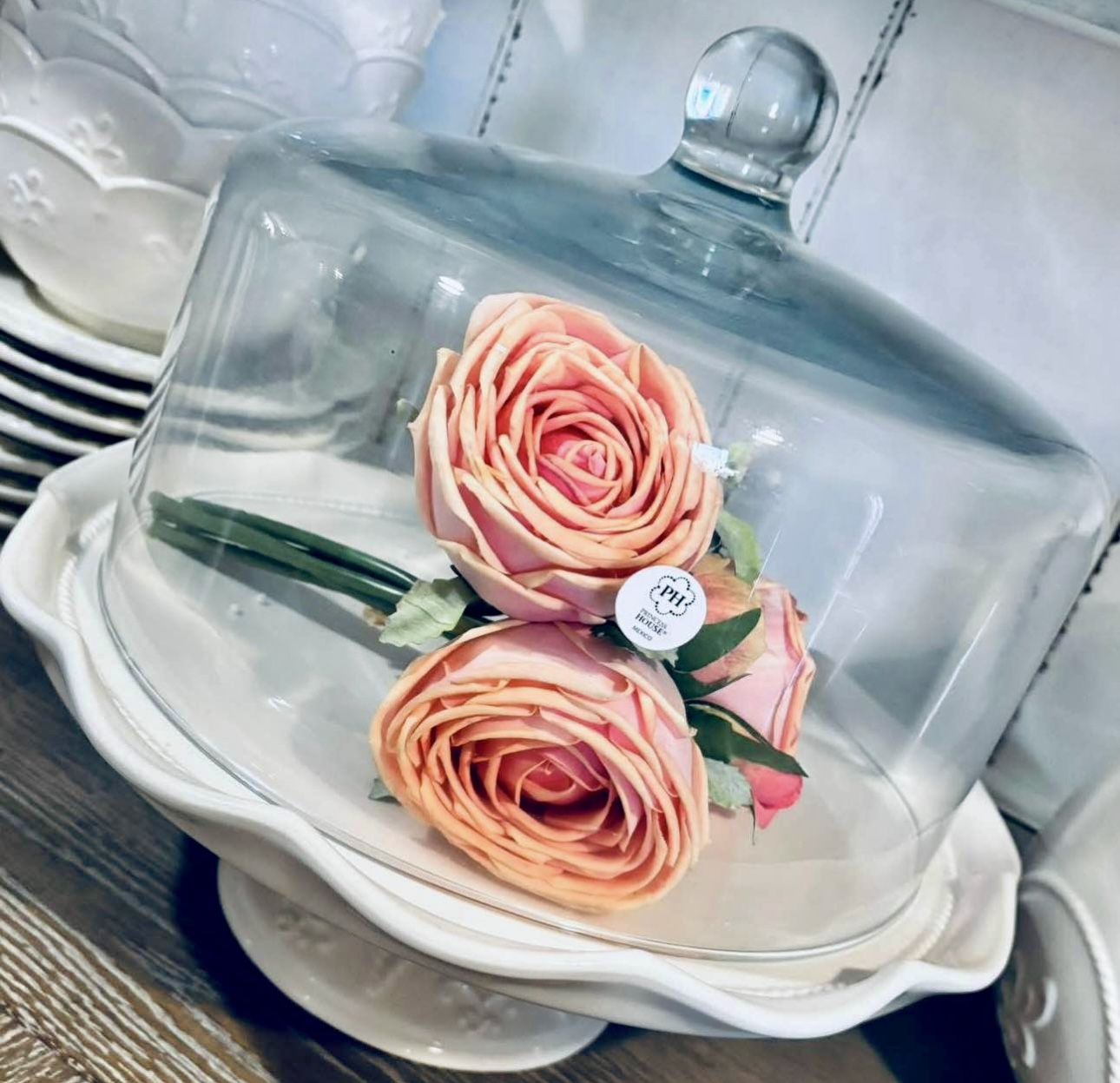 Panera Marvella Nueva