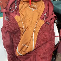 Osprey Daylite Everyday Hiking Outdoors Backpack H2o Hydration Pouch Red Orange