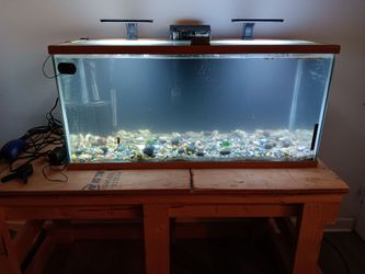 Complete 30-gallon freshwater setup