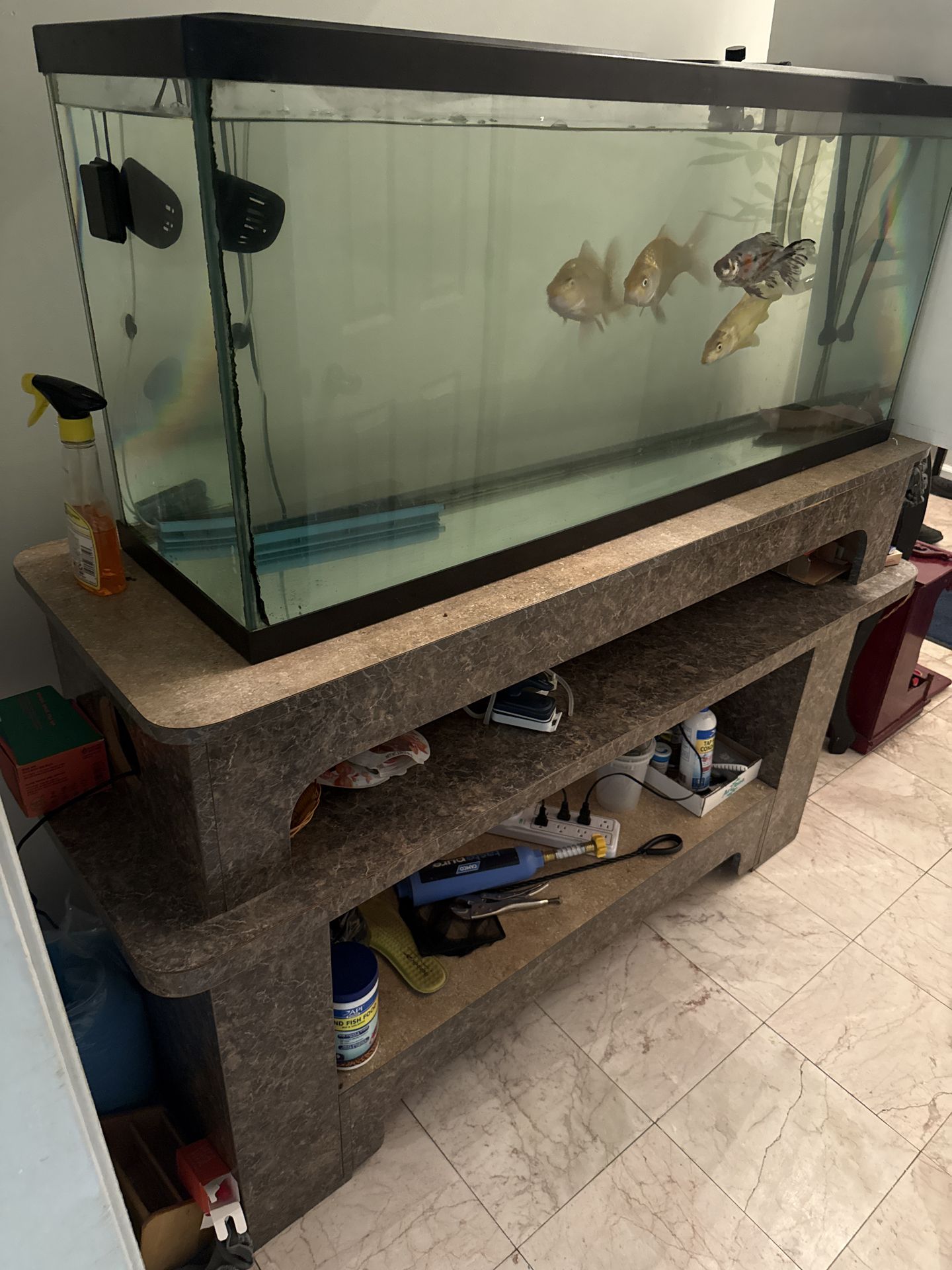 Complete Fish Tank Setup w/ Koi & Goldfish – Everything Included
