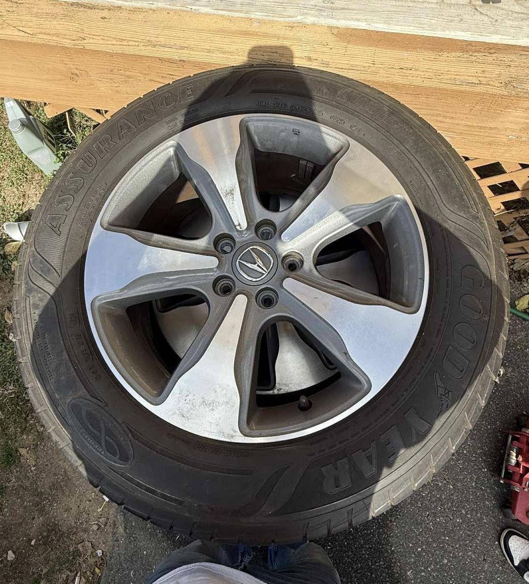 Acura Rims 