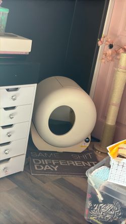 Automatic Litter Box