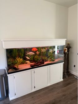 Fish tank