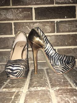 Zebra Print and Shimmering Gold Stilettos