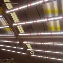 Luxx 645 Grow Lights