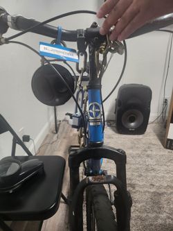 Schwinn Copeland