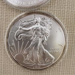 2  X American Eagle Silver Dollar 1 Ounce US Mint in Clear Capsule 