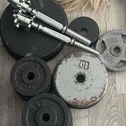 Weights & Bench 