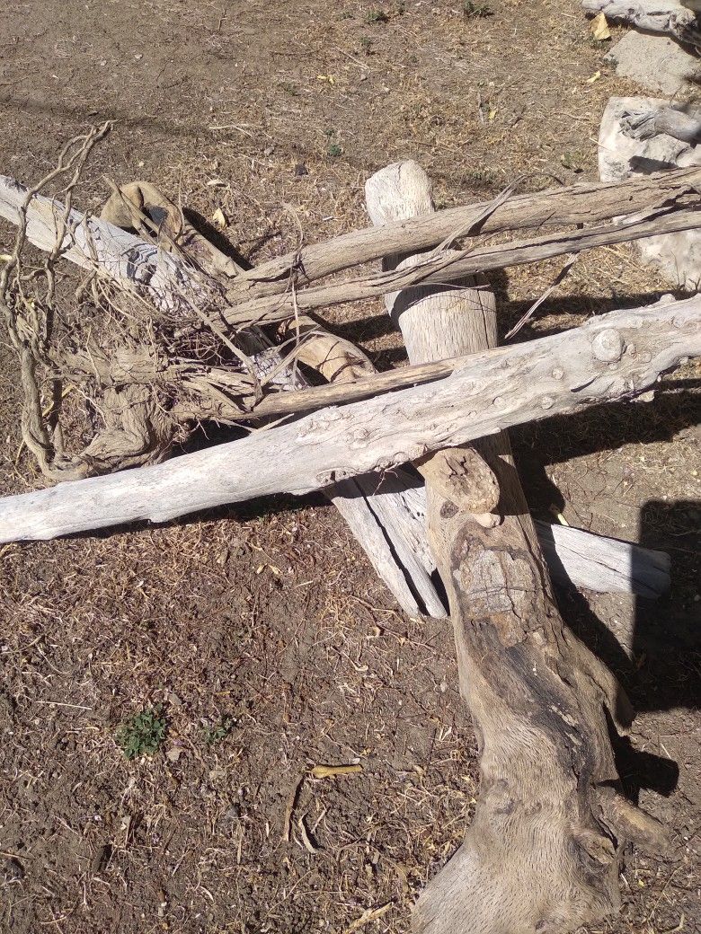 5 Driftwood Natural Wood For Terrariums Aquariums Decor