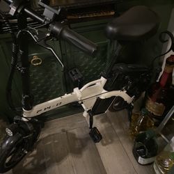 Electric Bike