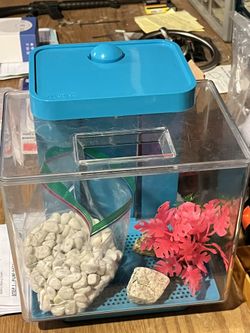 Betta Tank