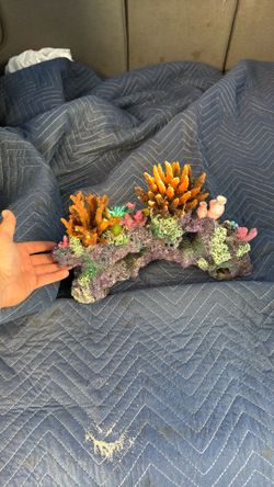 Fake Coral