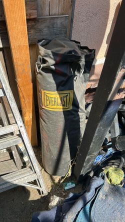 Everlast Punching Bag