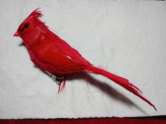 Fake Cardinal 