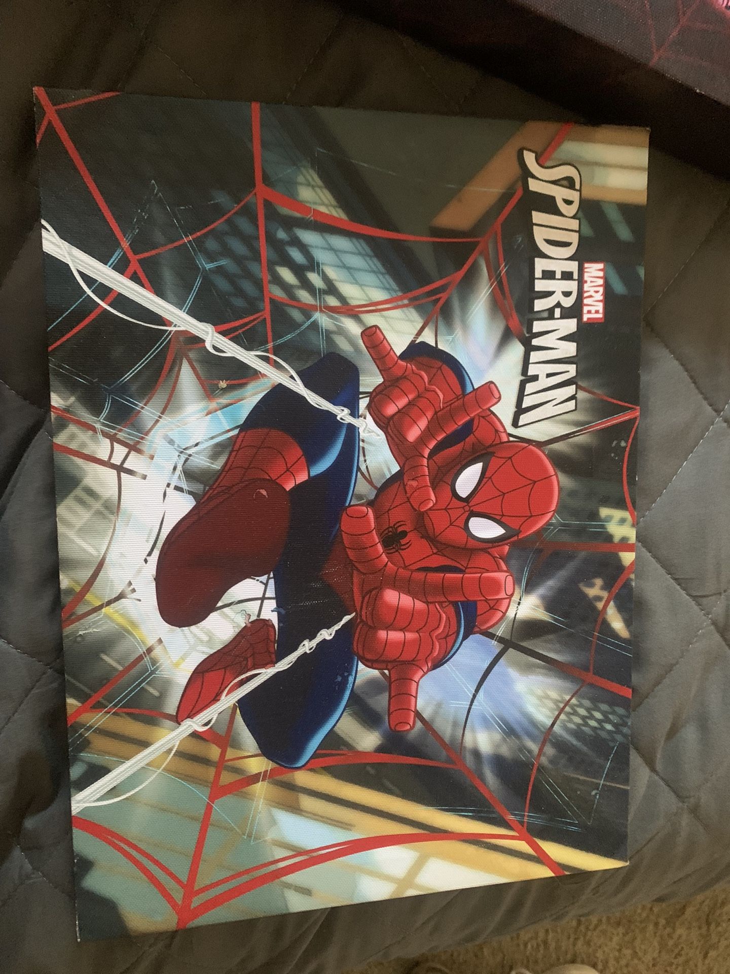 Spider-Man Wall Decor
