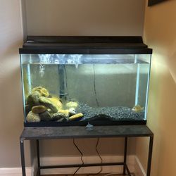30 Gal Fish Tank 