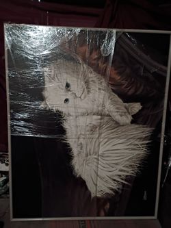 Rare Vintage Antoinette Letterman "Cashmere" Persian Cat Art - MASSIVE 🔥