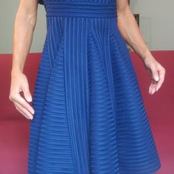 Amazing Maje Designer Blue Dress