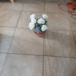 Flower Pot  for Indoor Decoration 