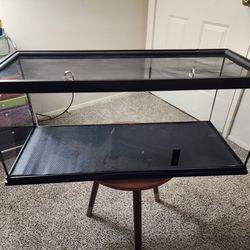 20 gal terrarium