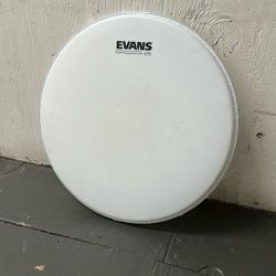 14” Evans G12 Drumhead 