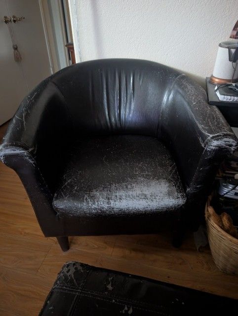 Club chairs Set! FREE!!!