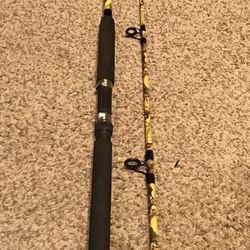 Camouflage jimmy Houston cat hunter pro DX fishing rod