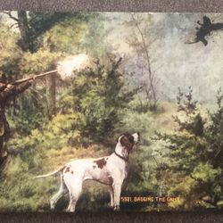 Rare Unused Antique one Cent Stamp Postcard Bagging The Game Ca 1910, GC