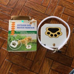 Best Summer For Your Dog