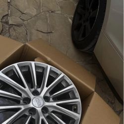 Cadillac Rims