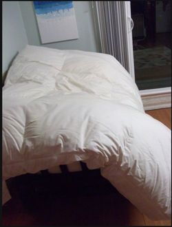 102"x 86" Goose Down Comforter for Bed