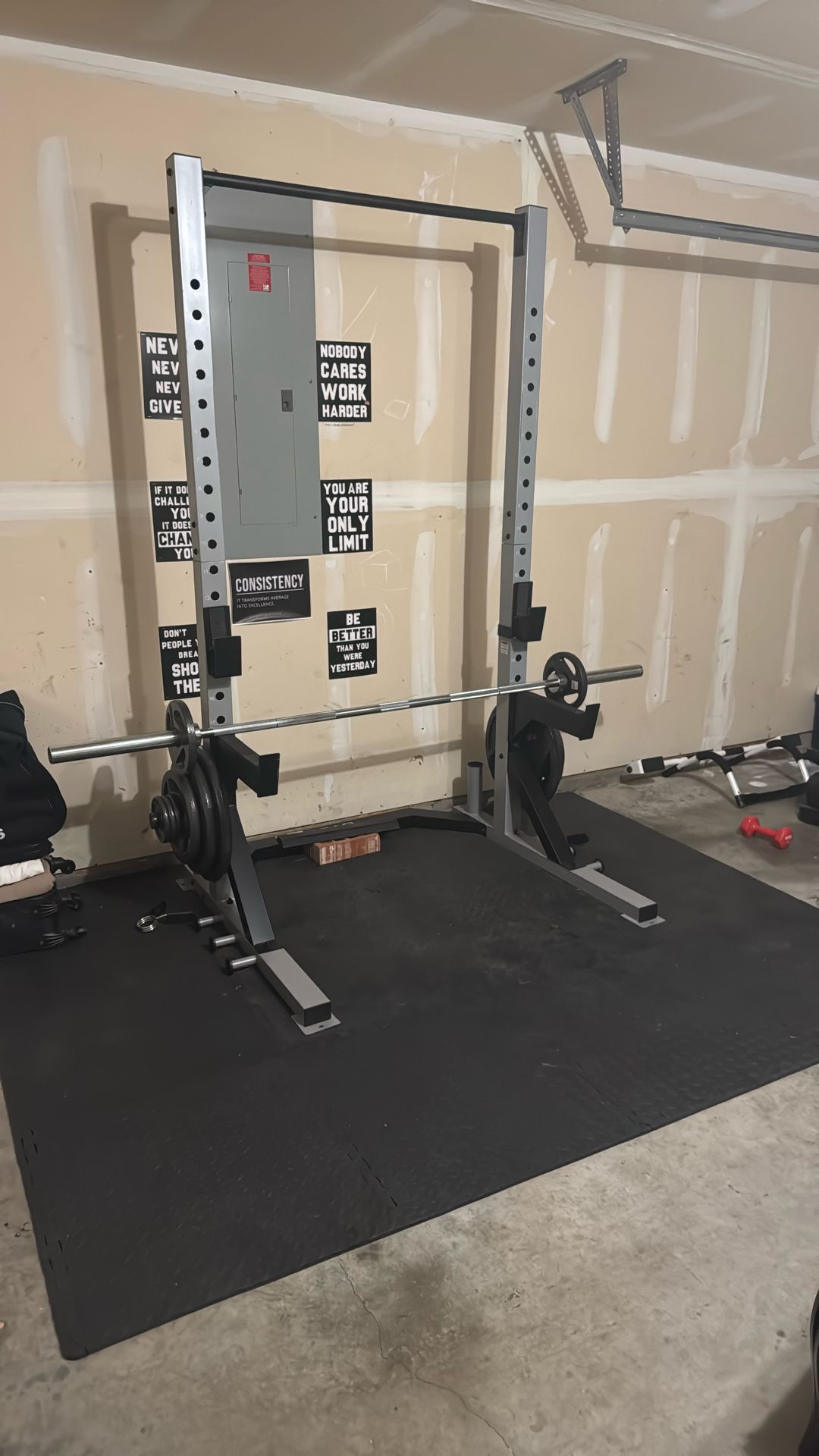 Entire Garage Gym Set