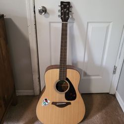 Acoustic Guitar 