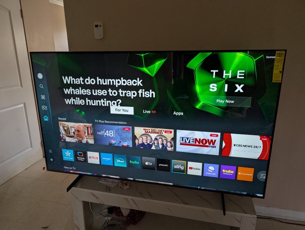 65 Inch Samsung TV