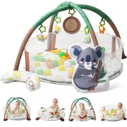 4-in-1 Baby Play Gym, Activity Gym Ball Pit