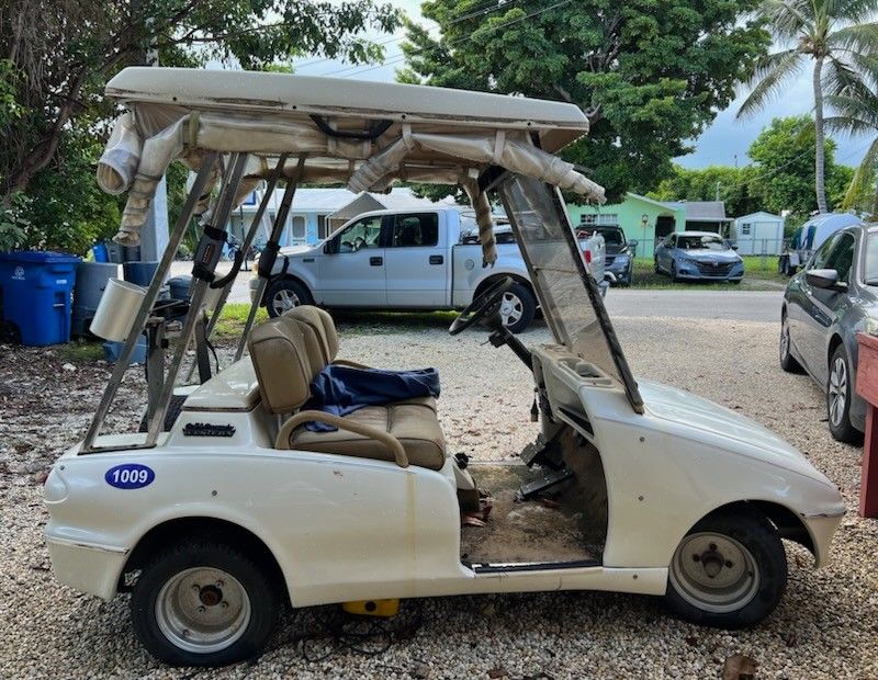 Golf  Cart Pickup 