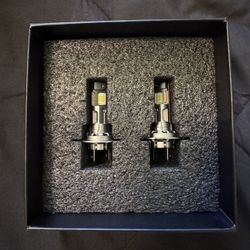Termitor LED Light 