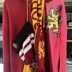 Gryffindor & Disney Hoodie