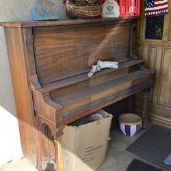 Free 