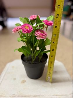 Pink Artificial flowers 🌺