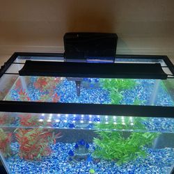 Aquarium Tank (large), Water Filters, Light, Fake Plants, Food For Fish