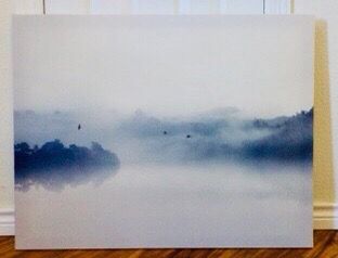 Canvas Wall Art - Forest Tree Landscape