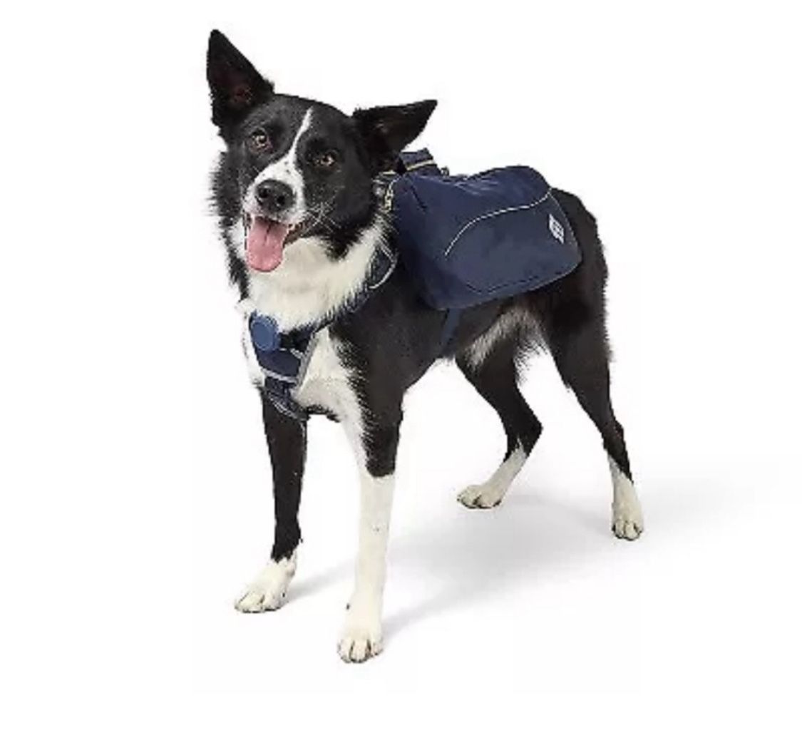 The cuddle collab X-Large dog backpack harness suitable for dogs 90 Ibs+.