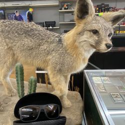 Costa Del Mar Taxman Sunglasses