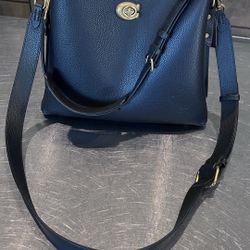 Coach Willow bag