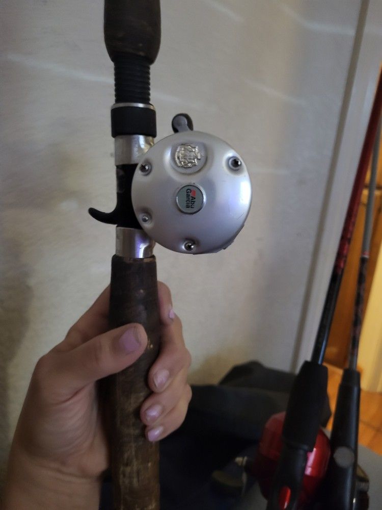 Abu Garcia Ambassadeur 6500C3 Baitcasting 6500 C3 Fishing Reel