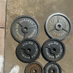 Set Of Weights And Bench Press 