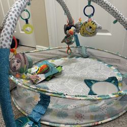 Baby Activity Gym